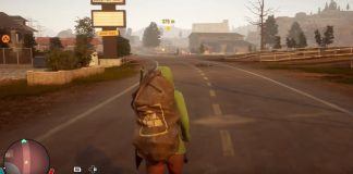 State of decay 2
