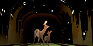 way to the woods