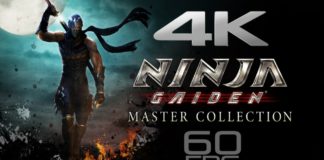 ninja gaiden