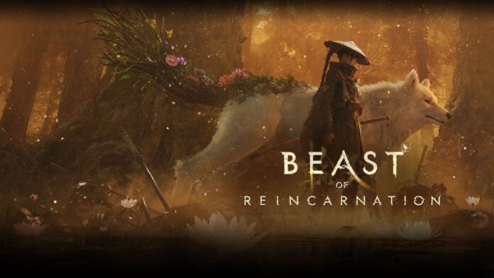 Beast of Reincarnation Sistema de combate portada