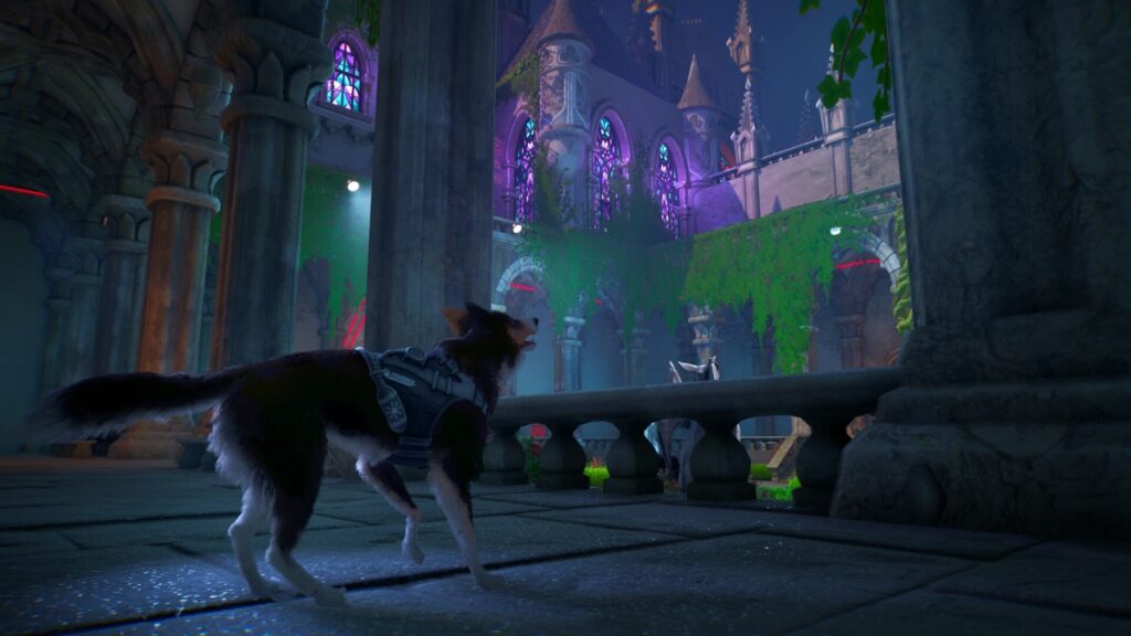 barkour